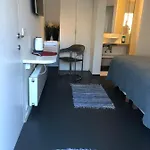 Poppies , Free Parking