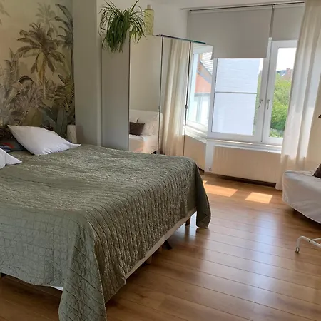 Poppies , Free Parking 4*