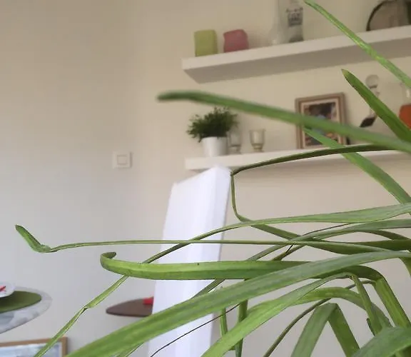 Poppies , Free Parking Ostend