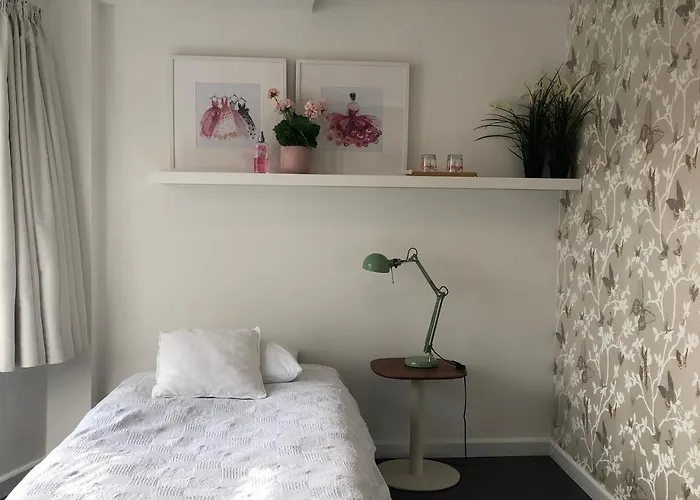 Poppies , Free Parking