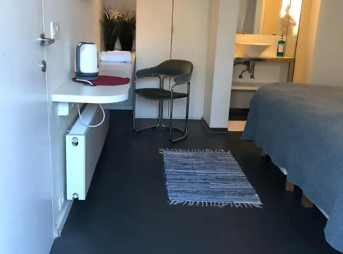 Poppies , Free Parking